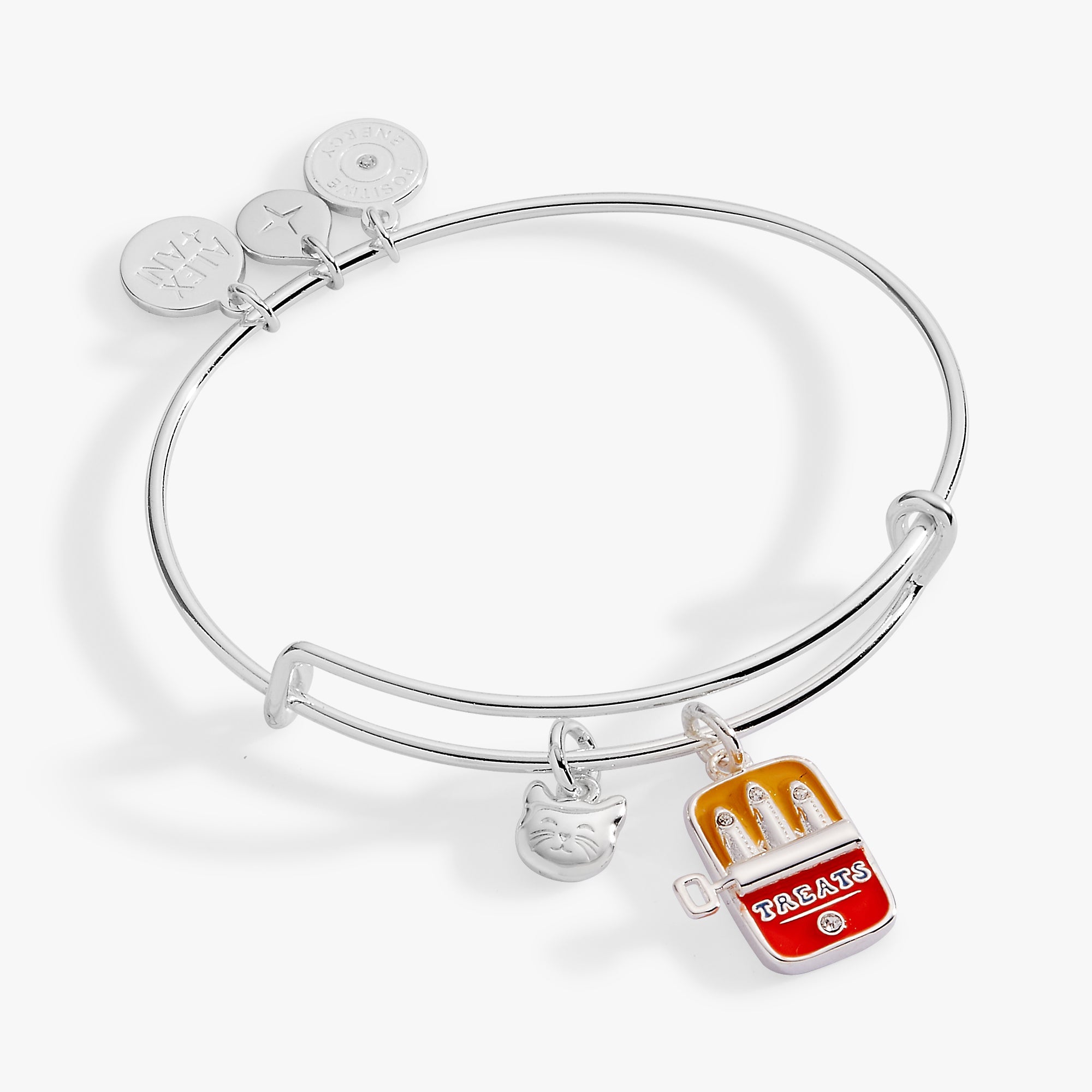 Cat & Sardine Tin Duo Charm Bangle